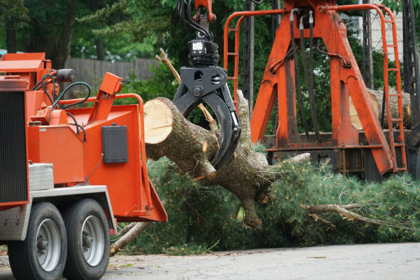 Best Lawn Irrigation Installation and Maintenance  in Manahawkin, NJ